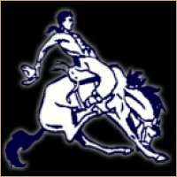 Vidya Capital Advisors Logo