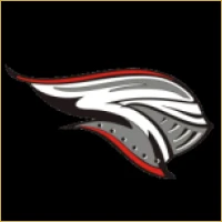 Vidya Capital Advisors Logo