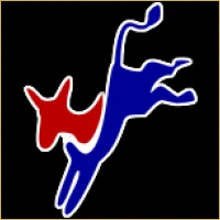 Surya Unlisted Shares Logo