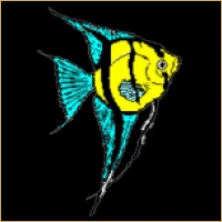Quantum Wealth Management Logo