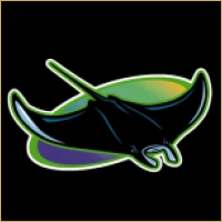Vidya Financial Advisory Logo