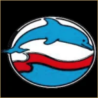 Imperial Equities & Stocks Logo