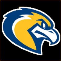 Vidya Wealth Management Logo