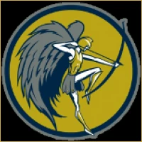 Navrang IPO Consulting Logo