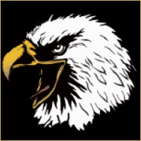Pioneer Wealth Management Logo