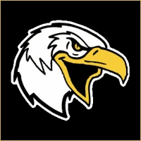 Delta Financial Advisory Logo