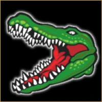 Navrang Financial Advisory Logo