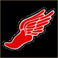 Omega IPO Consulting Logo