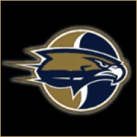 Apex Financial Advisory Logo