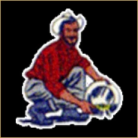 Navrang Financial Advisory Logo