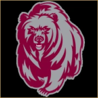Dynamic Unlisted Shares Logo