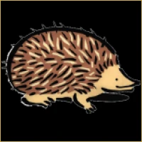 Varun Unlisted Shares Logo