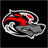 Imperial Equities & Stocks Logo