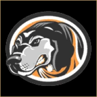Wisdom Tree Financial Advisory Logo