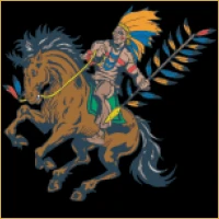 Pioneer Investment Banking Logo