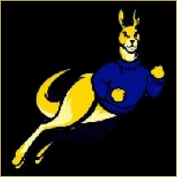 Capital Capital Advisors Logo