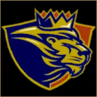 Vidya Unlisted Shares Logo
