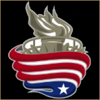 Vidya Wealth Management Logo