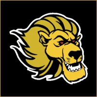 Vidya Wealth Management Logo