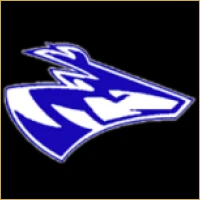 Navrang Investment Banking Logo