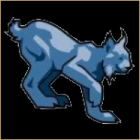 Pioneer IPO Consulting Logo