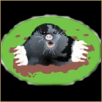 Vidya Unlisted Shares Logo