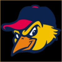 Imperial Capital Advisors Logo