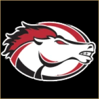 Dynamic IPO Consulting Logo