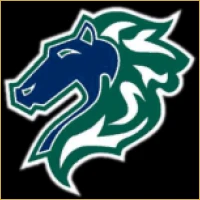 Bluechip Investment Banking Logo