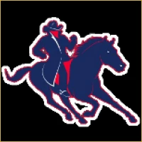 Surya Investment Banking Logo