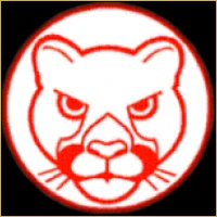 Pioneer Wealth Management Logo