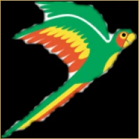 Pioneer Wealth Management Logo
