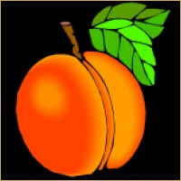 Wisdom Tree Wealth Management Logo