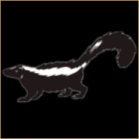 Apex Capital Advisors Logo