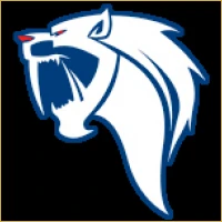 Bluechip Financial Advisory Logo