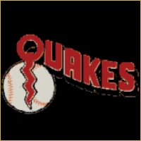 Fortune Equities & Stocks Logo