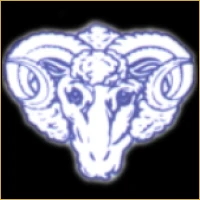 Vidya Wealth Management Logo