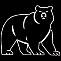 Yash Wealth Management Logo