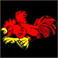 Shree Wealth Management Logo