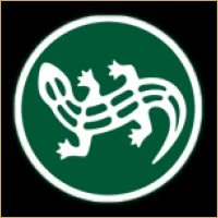 Imperial Equities & Stocks Logo