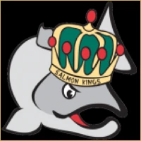 Surya Pre-IPO Desk Logo