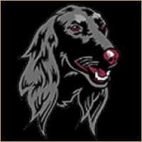 Dynamic Wealth Management Logo