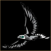 Pioneer Capital Advisors Logo