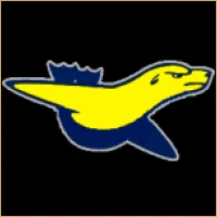 Quantum Capital Advisors Logo