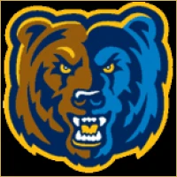 Vidya Wealth Management Logo
