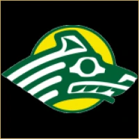 Pioneer Financial Advisory Logo