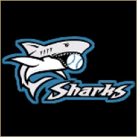 Apex Equities & Stocks Logo