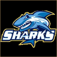 Bluechip Investment Banking Logo
