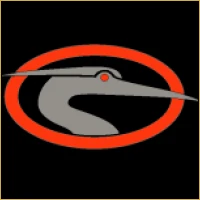 Pioneer Financial Advisory Logo