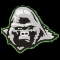 Pioneer IPO Consulting Logo